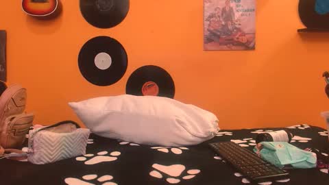 MEIS online show from 11.27.25