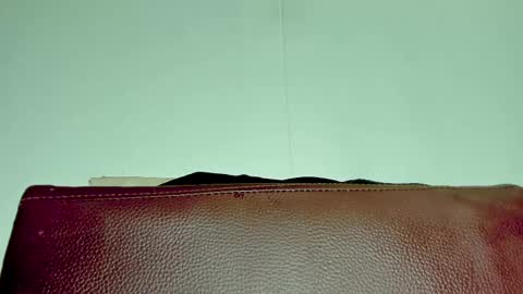 Melania online show from 11.06.25