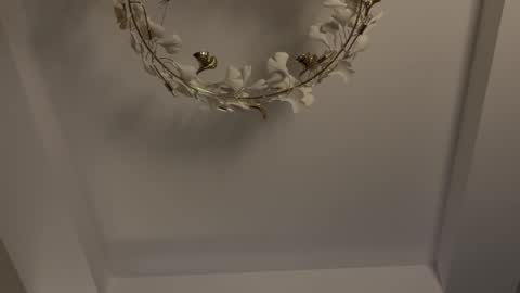 Adel online show from 01.11.25