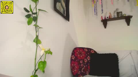 melissa online show from 02.11.25