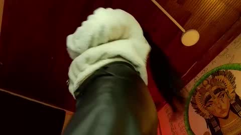 michell online show from 01.16.26