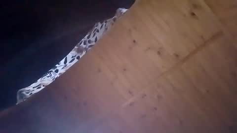 mellodiego760 online show from 10.20.25