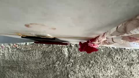 melodysnow online show from 01.10.26