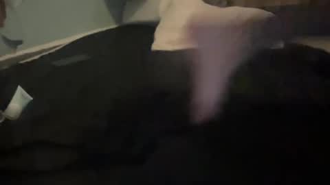 melt13 online show from 10.13.25