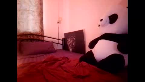 Merry online show from 02.11.26