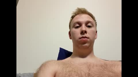 meow732 online show from 10.15.25