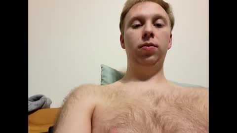 meow732 online show from 11.20.25