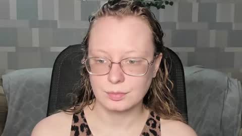 meowcr online show from 01.17.26