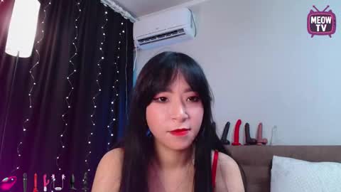 meowkami online show from 09.25.25