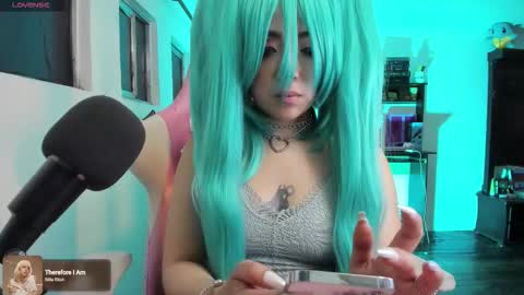 meowmelf online show from 12.02.25