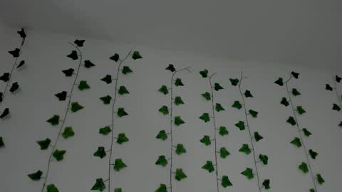 MIA online show from 01.10.26