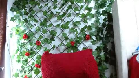 Snapshot of mia_squirt_big chatting on 12.06.24 Mia squirt big INDEPENDENT MODEL...ONLYFANS online show from 12.06.24