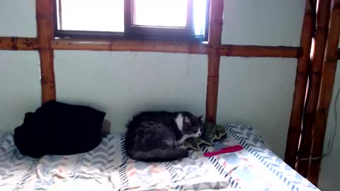 Mia  Sam online show from 11.24.25