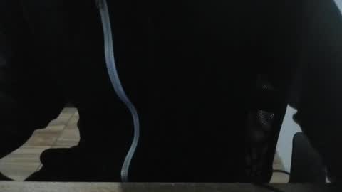 miamorr_ online show from 02.03.26