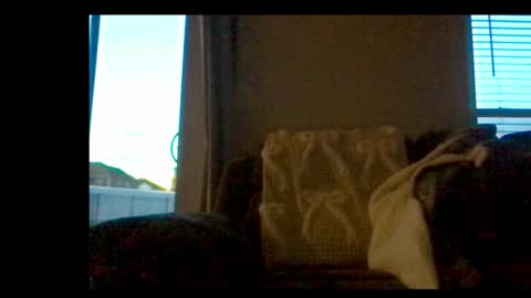 Snapshot of michaelt483 chatting on 02.21.26 michaelt483 online show from 02.21.26