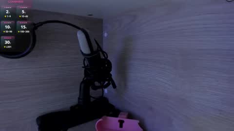 michellepreston_ online show from 02.20.26