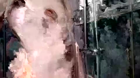 mickavis1975 online show from 01.01.25