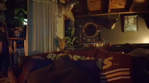 Hey Mickey online show from 12.18.24