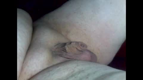 micropimmel online show from 02.26.26