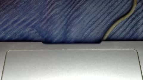 midiin online show from 12.05.24