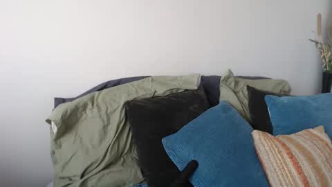 Snapshot of midsummernightsdream chatting on 01.05.26 MidsummerNightsDream online show from 01.05.26