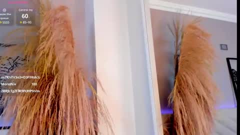   online show from 03.12.25