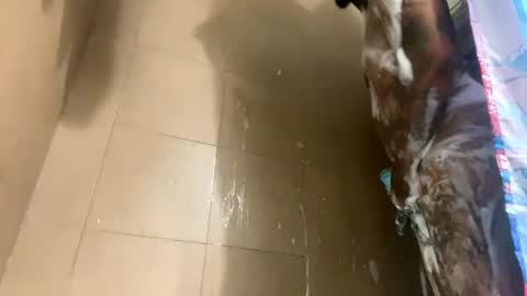 mikeyblunt online show from 02.25.25