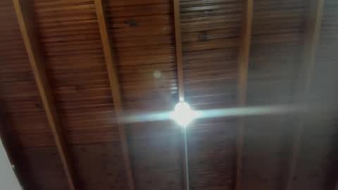 Snapshot of milarose4 chatting on 12.31.24 Mila Rose online show from 12.31.24