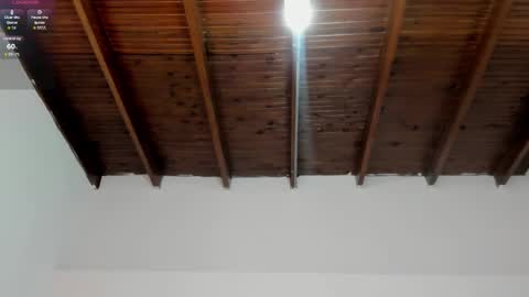 Snapshot of milarose4 chatting on 01.19.25 Mila Rose online show from 01.19.25