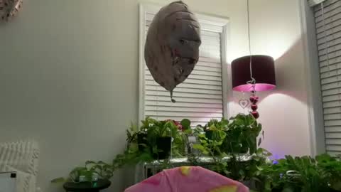 MIlf Goddess online show from 07.13.26