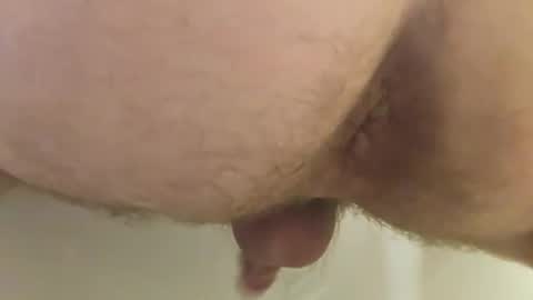 Bearforall online show from 11.30.25