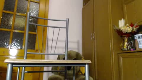 Snapshot of milk_and_hon3y chatting on 12.04.24 Im  to see you here Pvts are open  I love patterns soo much online show from 12.04.24