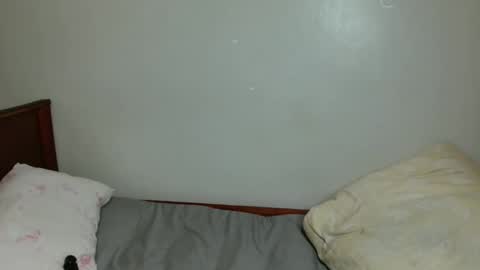 nova online show from 11.17.25