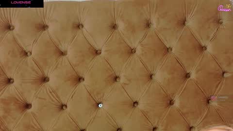 mira_lynxx online show from 01.19.26