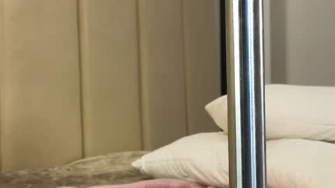 Snapshot of misatosan_ chatting on 01.11.25 Annie dont forget to thumbs up me online show from 01.11.25