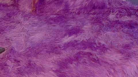 miss__jones_ online show from 04.06.26