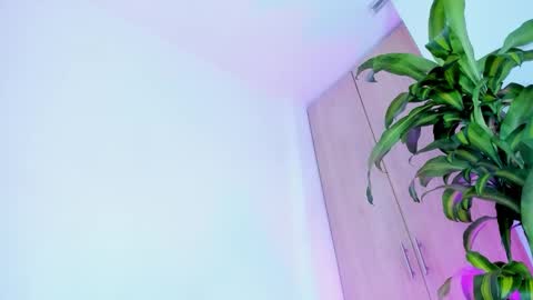 missangeldust online show from 12.02.25