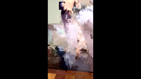 missb901 online show from 03.14.26