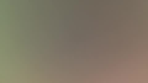 Mister Rug Burn online show from 02.14.25