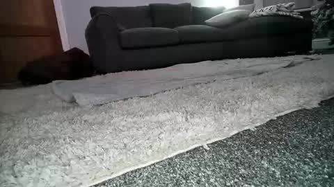 misterycouple12 online show from 12.23.24