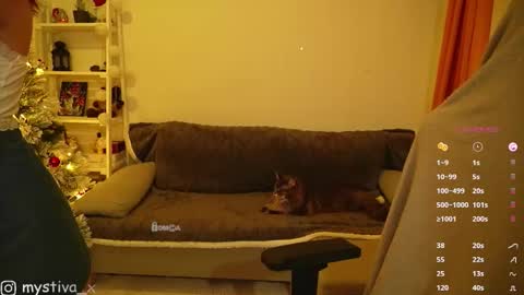 Hi everyone Im Tina online show from 12.20.25