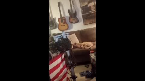 Snapshot of mitchnails69 chatting on 04.29.26 BobbyMitchGa online show from 04.29.26