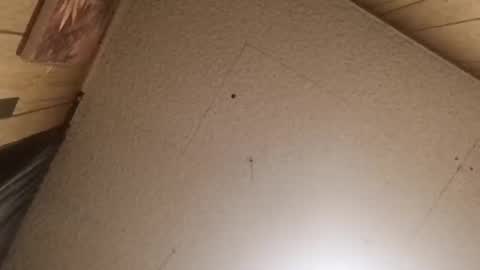 mjmichaelware online show from 02.24.26