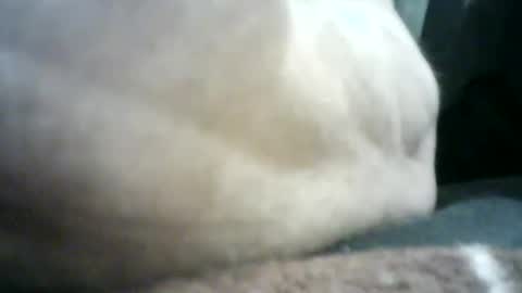 Snapshot of mlkklm47 chatting on 01.02.25 mlkklm47 online show from 01.02.25