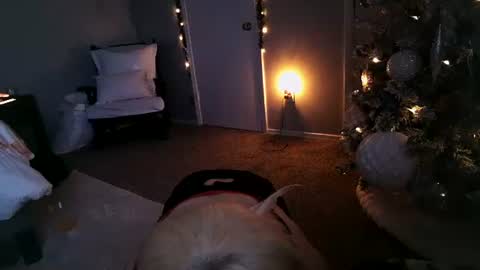 Angel online show from 12.11.24