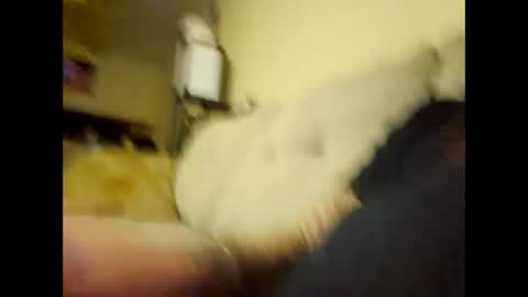 Snapshot of mnathanc chatting on 12.28.24 mnathanc online show from 12.28.24