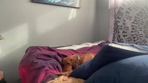 MNTuiLa online show from 02.17.25