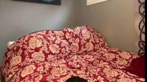 MNTuiLa online show from 09.09.25