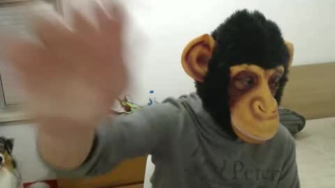 molkreid2 online show from 04.05.26