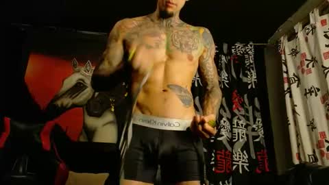 Molotov online show from 11.09.25